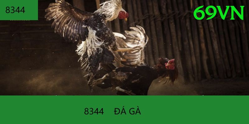 Đá Gà Trực Tiếp - 69vn - Game nhập vai